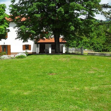 Apartmani Bartulasi Roč Chambre photo