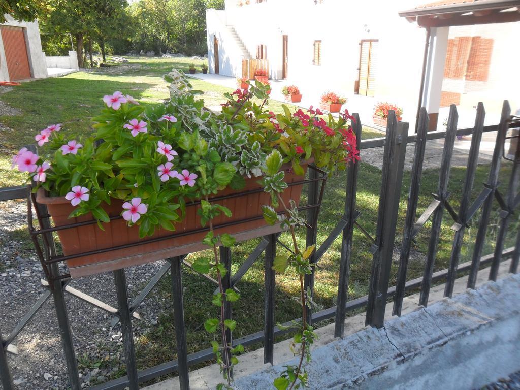 Apartmani Bartulasi Roč Extérieur photo
